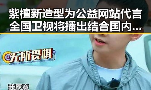 紫檀新造型为公益网站代言全国卫视将播出结合国内航线燃油附加费调整引发关注